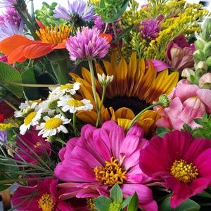 Meet your Posher, Shannon